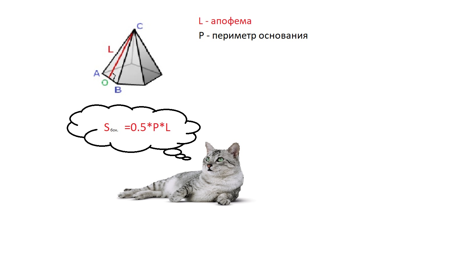 cорян фото не найдено